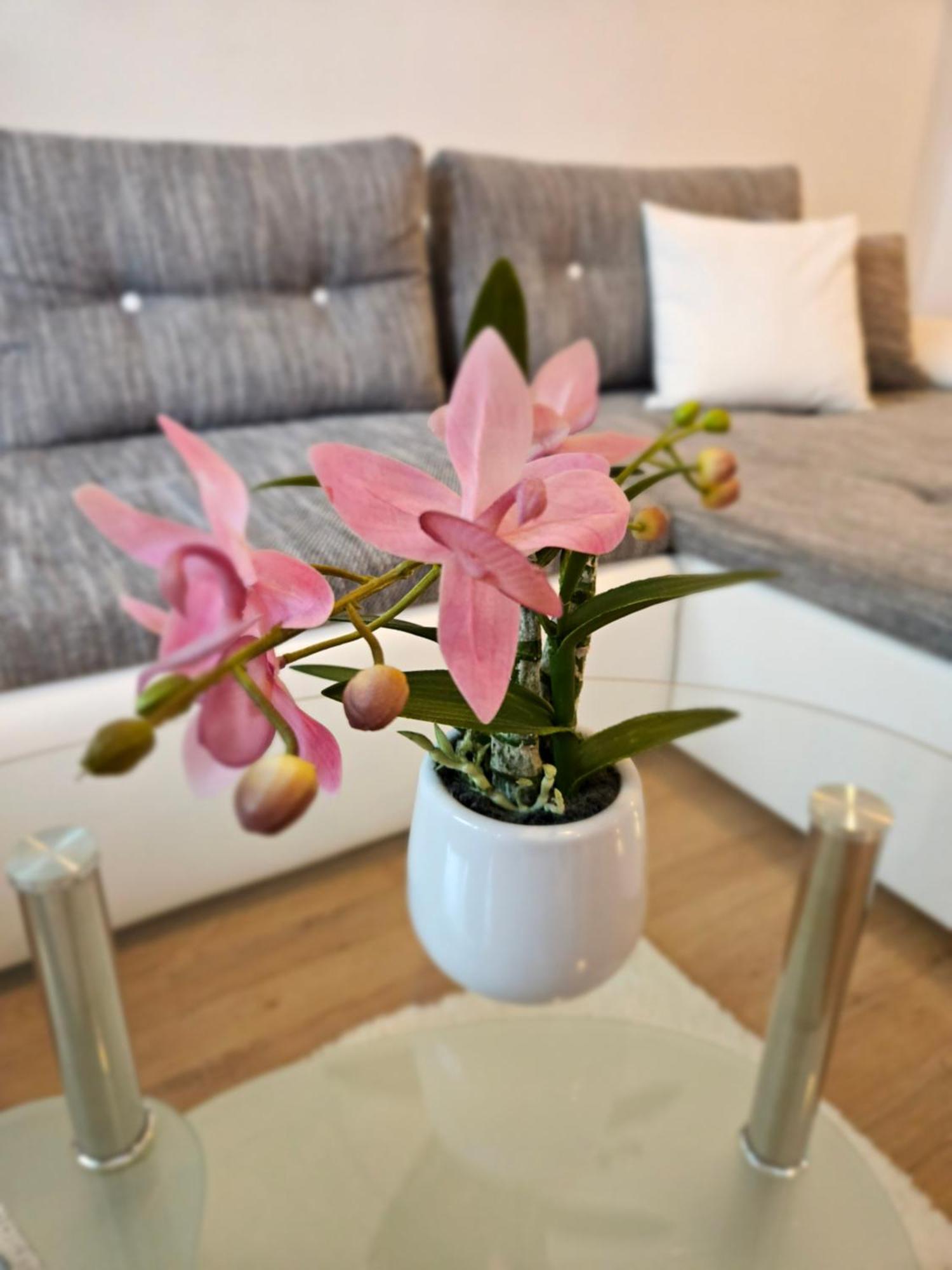 Apartment Zoya Kranjska Gora Eksteriør bilde