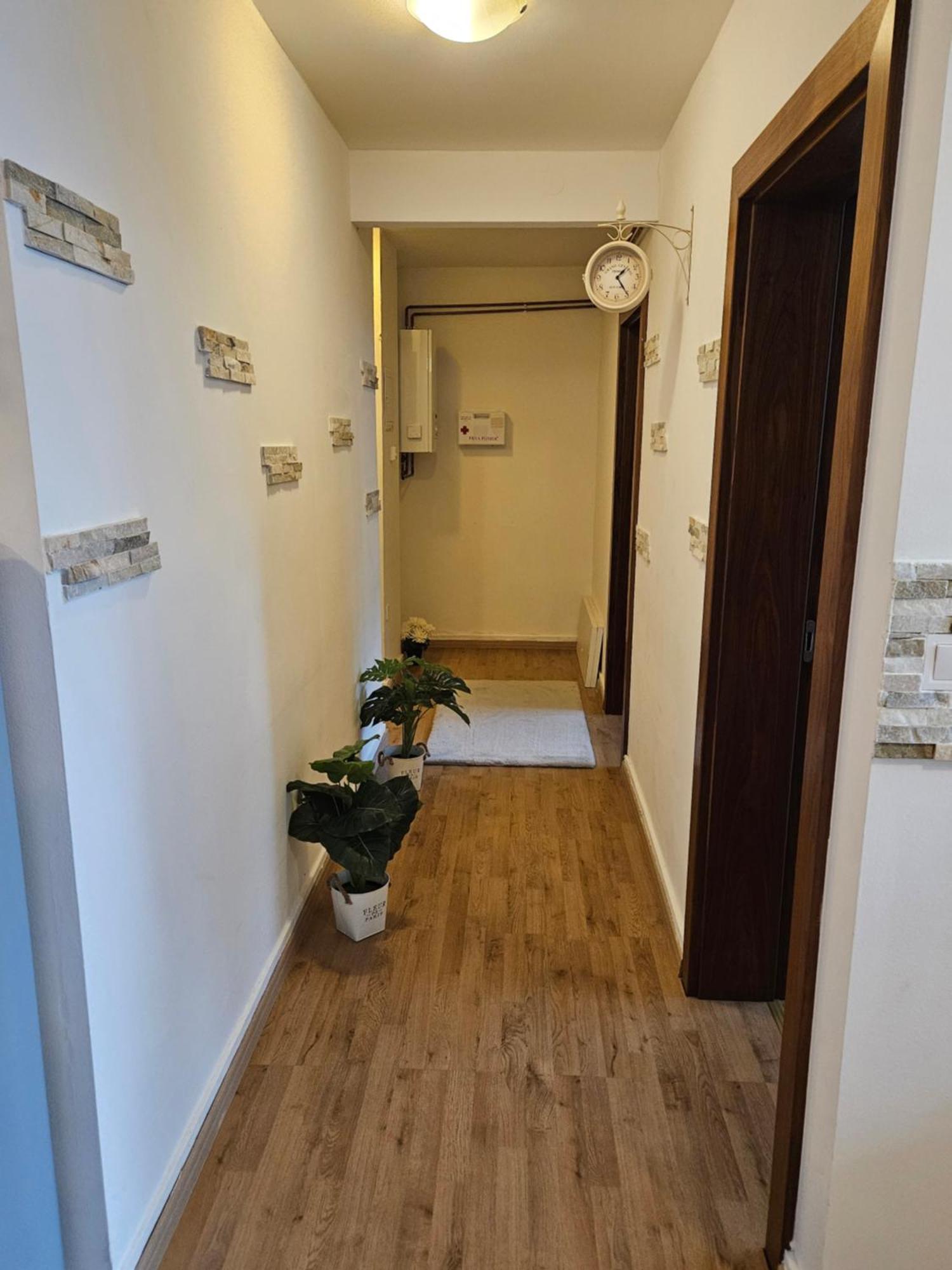 Apartment Zoya Kranjska Gora Eksteriør bilde